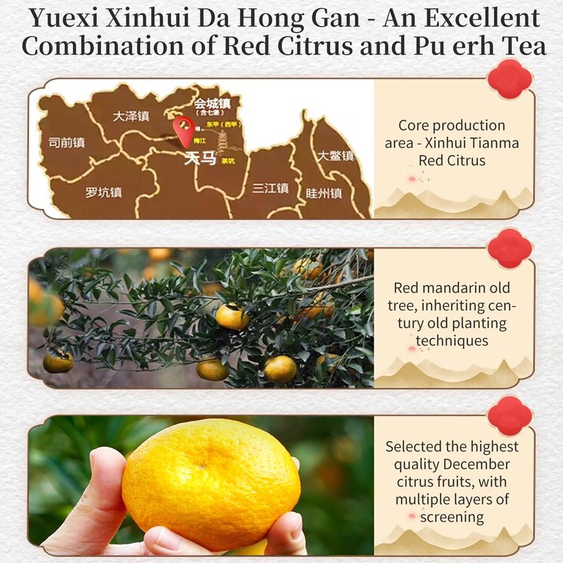 Yuexi Tangerine Peel Puerh Tea Da Hong Gan Pu-erh Xinhui