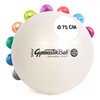 Pezzi Original Maxafe Exercise Ball / Diameter 42 cm -