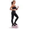 Sunny Health & Fitness Exercise Stepping Machine, Portable Mini Stair