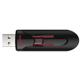 SanDisk 16GB (1 Pack) Cruzer Glide USB 3.0 Flash Drive SDCZ600-016G Bundle with (1) GoRAM Black Lanyard (16GB, 1 Pack)