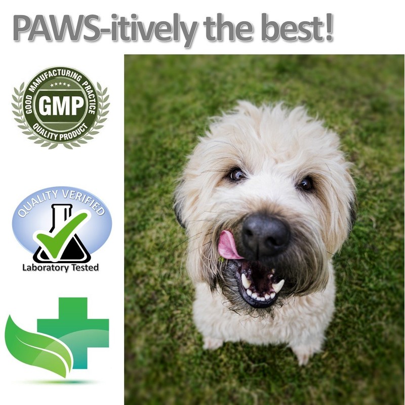 Vet Worthy Pet Potty Hydrant for Dogs