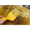 Aliotech Beekeeping Stainless Steel Uncapping Fork with 21 Tines Stainless