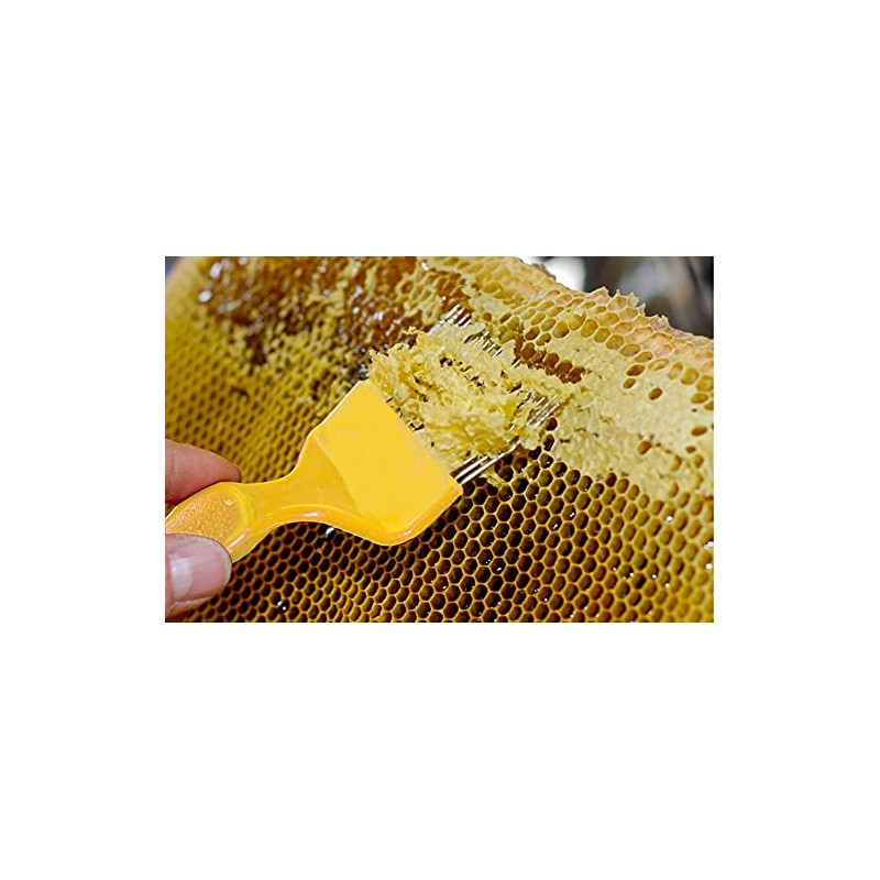 Aliotech Beekeeping Stainless Steel Uncapping Fork with 21 Tines Stainless