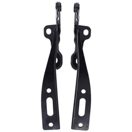 ApplianPar Hood Hinge Driver and Passenger Side for Honda Accord 2013-2015, Accord Coupe 2016-2017