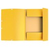 Exacompta 55309E Pack of 10 Folders Made of Extra Strong