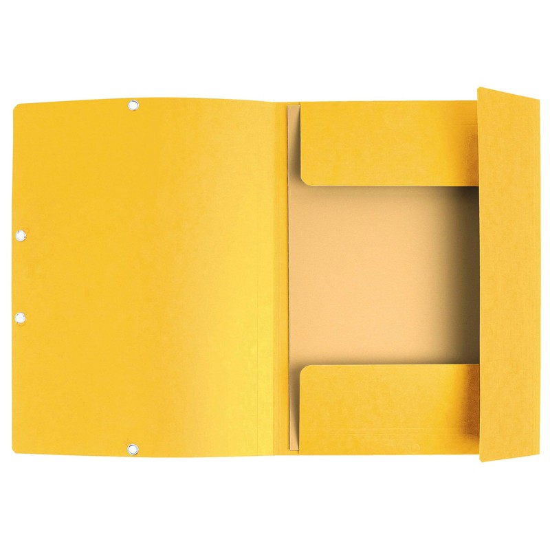 Exacompta 55309E Pack of 10 Folders Made of Extra Strong