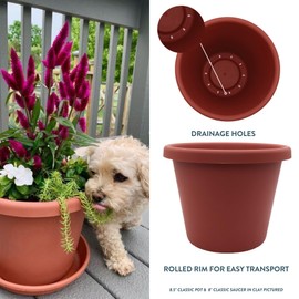 The HC Companies 7 inch Round Classic Planter - Plastic Plant Pot for Indoor Outdoor Plants Flowers Herbs, Clay (4 Pack)
