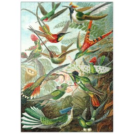 MyPuzzle Hummingbirds and Trochilidae (Hummingbirds), Vintage Art Poster, Ernst Haeckel - Premium 500 Piece Puzzle - MyPuzzle Special Collection by Havana Puzzle Company