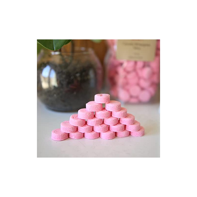 Kauffman Orchards Canada Wintergreen Mints, Pink Candy Lozenges, 14 Ounce