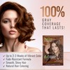 Herbishh Chestnut Brown Shampoo for Gray Hair, Hair Dye Shampoo