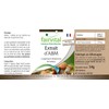 Fairvital Agaricus Extract 500 mg - 90 Capsules - ABM
