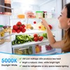 Maylaywood LED Refrigerator Light Bulb, 40 Watt Equivalent A15 Fridge