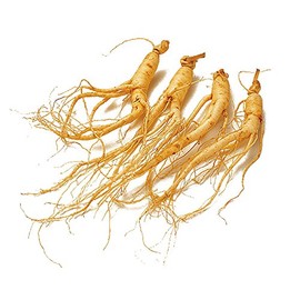 韓国産高麗生人参 100g 8～12本