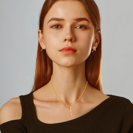 APMGONT Gold Initial Necklaces for Women, Stainless Steel Gold Initial A-Z Letter Pendant Necklace Gold Initial Earrings Jewellery Gifts for Women Teen Girls (C)
