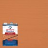 Thompson’s WaterSeal Solid Color Waterproofing Wood Stain and Sealer, Natural