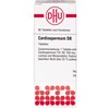 DHU Cardiospermum D6 Tablets, Pack of 80 Tablets