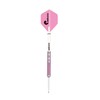 ‎Unicorn Steel Tip Professional Darts Set | Autograph Series Style