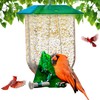 Unique Cardinal Bird Feeder for Outdoors - Designed for Cardinals