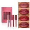 Set de Labiales Líquidos 4 Piezas- Kit de Maquillaje Diario