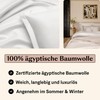 Amqua Mako Satin Cushion Cover, Set of 2, Pillowcases 70