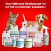 F10 SC Concentrated Veterinary Disinfectant & Cleaner for Kennels, Litter