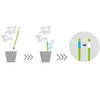 Sustee Aquameter (Small White Refillable - Bundle of 2) -