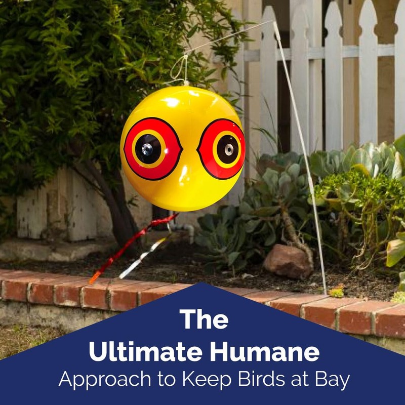 Bird-X Scare-Eye Balloons, Predator 3D Eye Balloons with Glaring, Bright