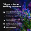 Brightwell Aquatics Polyp Ignite - Polyp Stimulator to Trigger Feeding