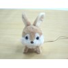 RC Bunny Roppy