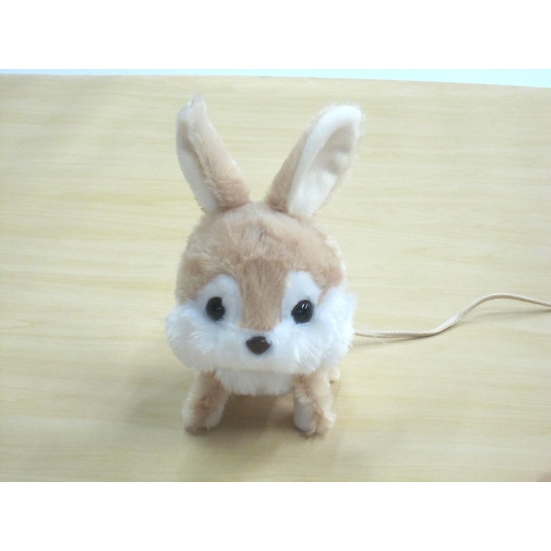 RC Bunny Roppy