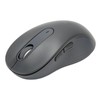 Wireless Mouse Black BT Or USB Receiver Silent Click Adjustable