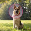 In hand Adjustable Recovery Cat Cone Dog Cone Collar Clear
