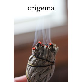 CRIGEMA - White Sage and Cinnamon - 10 cm ~ 20/30 g - Cleaning Jewellery - First Quality from California