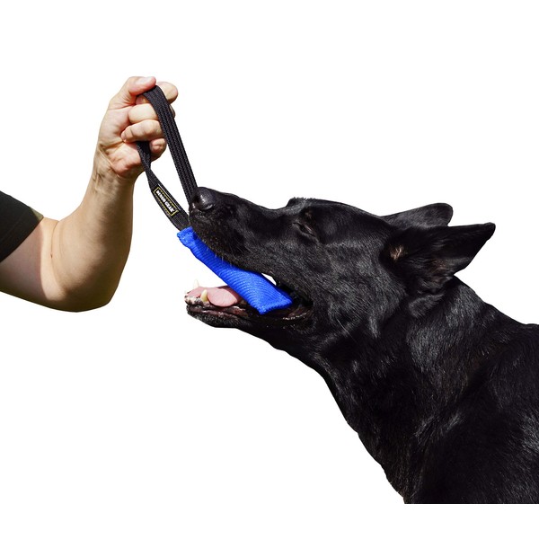 DINGO GEAR French Material Bite Tug for The Dog Training, 1 Handle, Blue S00060