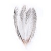 12pcs Natural Pheasant Feathers 4 Style 20-25cm Natural Feathers for