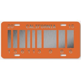 OPO 10 - Replica of The License Plate of The Delorean TIME Machine car from The Movie Back to The Future 2 (59)
