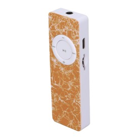 MP3 Player, HiFi MP3 Player, Reproductor de Musica, MP3 Player with USB Flash Drive, Portable HiFi Lossless Sound MP3 Music Player Support Up to 64GB Memory Card(E), MP3 Music Player Digital Music