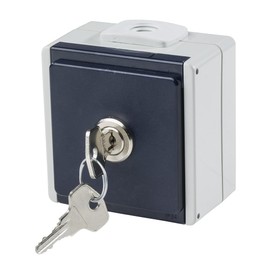 AS - Schwabe Socket Outlet with 2 cable Entries, IP54, for Outdoor use Grey, 62461