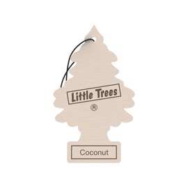 Car Freshner 10317