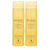 Bamboo Smooth Anti-Frizz Shampoo, 8.5-Ounce (2-Pack)