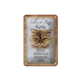 FEMER Tin Sign with Saying 12 x 18 cm Selkirk Rex Cat Quiet Gift Decorative Sign