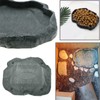 VGOL Reptiles Water Tray Tortoise Feeder Lizard Water Dish Resin
