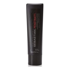 Sebastian Penetraitt Shampoo 250ml