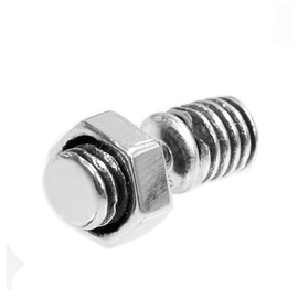 Pia Collection Nut Earrings Stud Earrings [Silver 925] 片耳 Sold