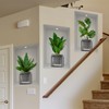 SMAOSTORE Wall Sticker, Green Plants, Potted Plants, Decorative Plants, Stylish,