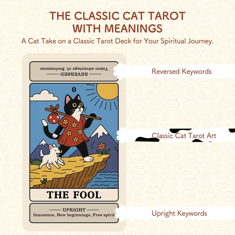BWTY Best wishes to you Cat Tarot Cards for Beginners