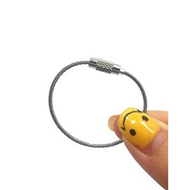 Jinsully 8pcs Stainless Steel Cable Key Ring Keychain with Screw Lock for Outdoor Sports (110mm)