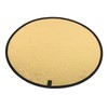 Silver Gold 2 In 1 Reflector Portable Mini Round Light
