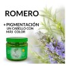 Gel Fijador Natural Con Romero Y Sábila 1 Kg