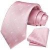 HISDERN Men's Ties Wedding Animal Pattern Handkerchief Classic Business Tie